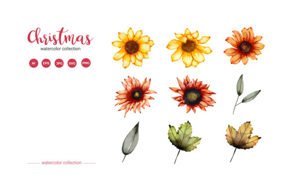 Christmas Watercolor Flower Set: Festive Illustrations